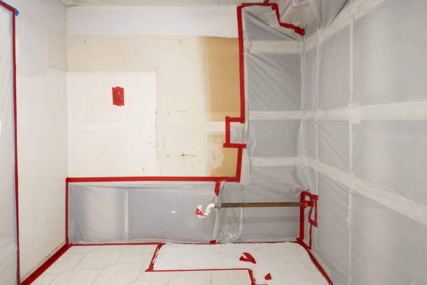 Best Comprehensive Air Testing for Mold Contaminants  in Springfield, KY
