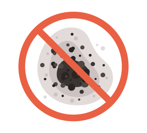 Environmental Consulting for Mold Prevention in Springfield, KY