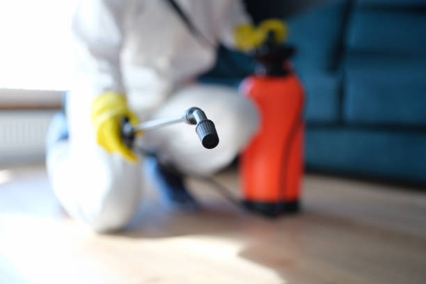 Best Real Estate Mold Inspection  in Springfield, KY